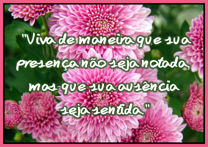 Casinha das Gifs