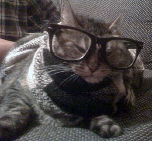 “I’m not trying to brag. I’m just saying, I knew about Cat Power before anyone else did.”