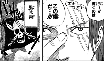 ワンピース シャンクスの傷跡とルフィの眼帯 ヤマカム