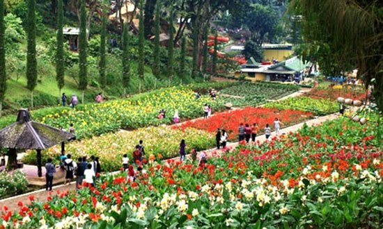 Inilah 10 Taman Bunga Di Indonesia Yang Wajib Anda Inilah 10 Taman Bunga Di Indonesia Yang Wajib Anda