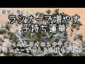 √100以上 植物 ランナー 276063-ランナーで増える 植物