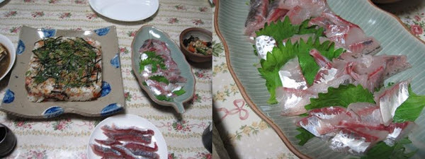 丸アジと平アジの違い 実食 イザ 里山生活 In 菊池市
