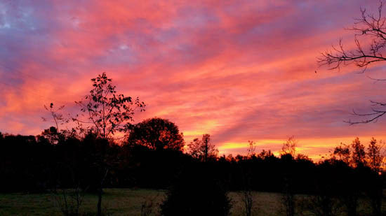 PHOTOS: Beautiful Texas sunrise  abc13.com
