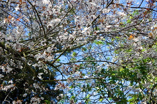 DSC00276 - Version 2