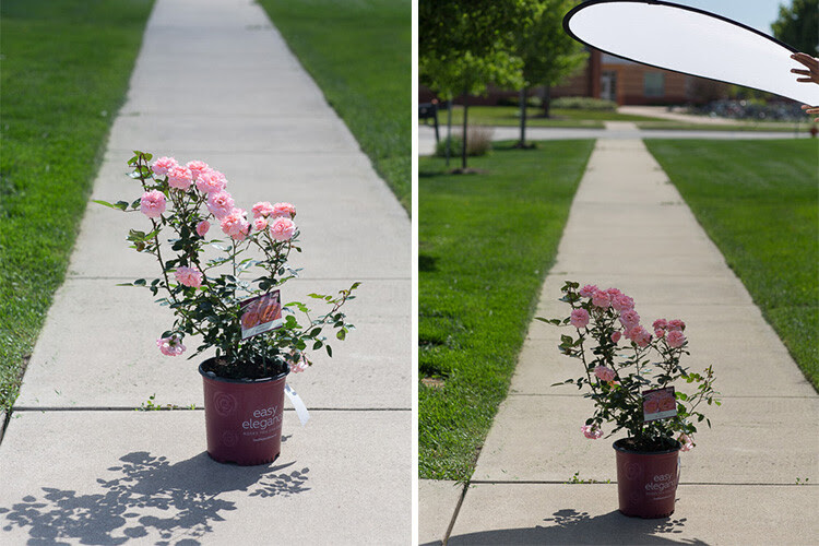 Memorable Jaunts Tips for photographing in the harsh midday sun-16