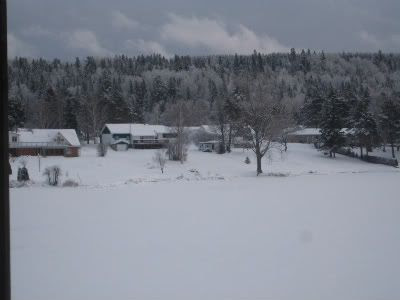 snow2
