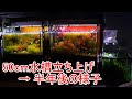 50 センチ 水槽 234313