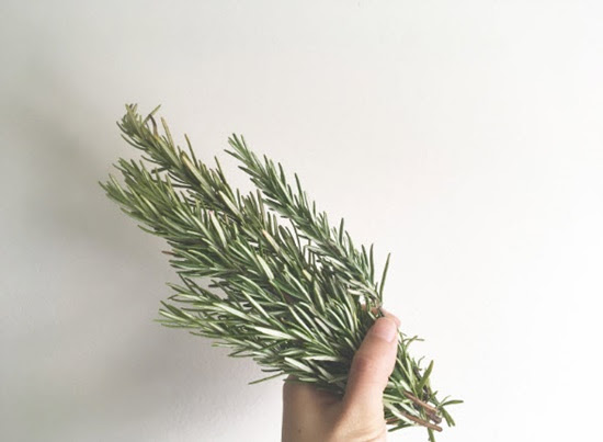 ローズマリーのお風呂での使い方 生でも乾燥でもお肌にすごい効果 Lettre Du Nature