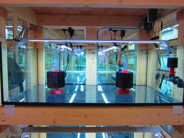 いよいよ発売 自動給水用フロート Lsslaboratoryblog