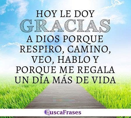 Frases De Agradecimiento A La Vida Por Amor
