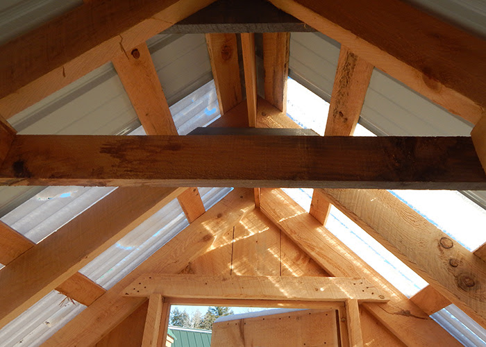 Prefab Chicken Coops for Sale | Chicken Shed Plans