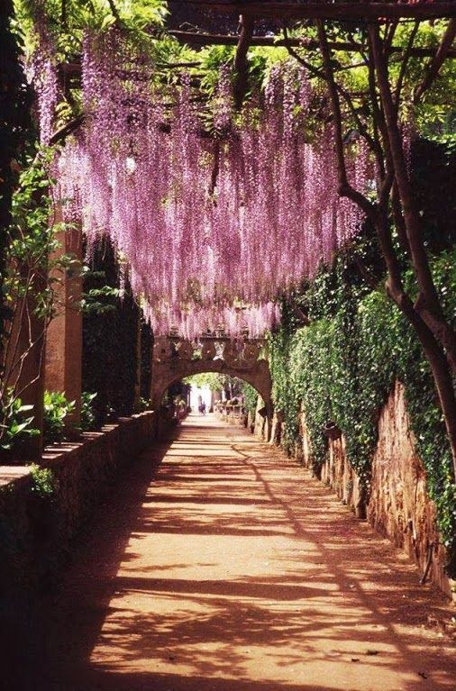 Ravello, Italy, province of Salerno Campania   Amalfi Coast