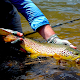 Fly Fishing Outfitters