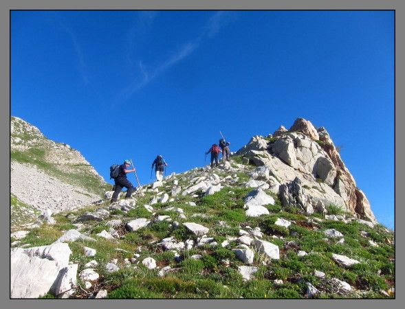  photo IMG_7452_zpswgyx6qzp.jpg