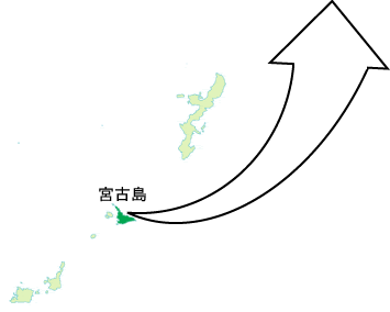 宮古島産海ぶどうの卸価格 送料無料販売 みやこの海ぶどう