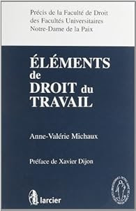 Elements De Droit Du Travail Anne Valerie Michaux Babelio