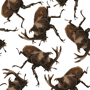 リアルタッチ兜虫 かぶとむし No 059 リアルカブト虫の壁紙用イラスト 条件付フリー素材集 スマホなど携帯電話対応