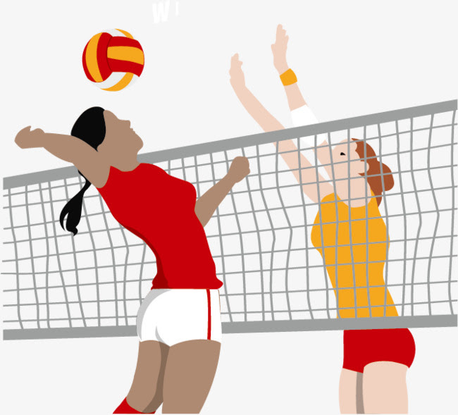 Download The best free Volleyball vector images. Download from 419 free vectors of Volleyball at GetDrawings