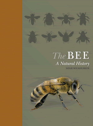 Wilson Rich N The Bee A Natural History Ebook And