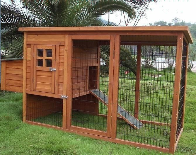 Chicken Coops Website - Tips for building your own chicken coops