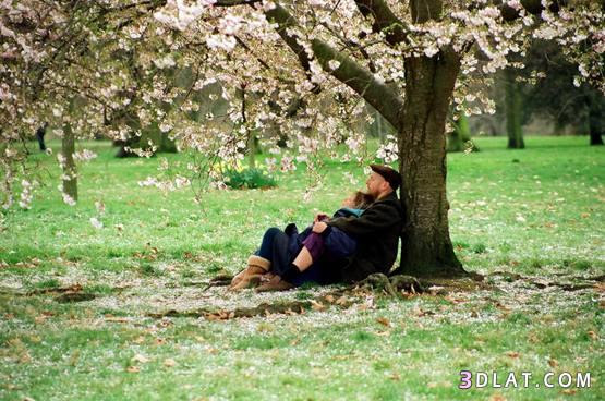 نبذه عن الإعتدال الربيعي spring equinox