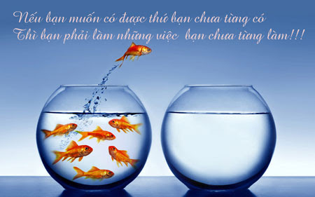 Những câu nói bất hủ hay nhất