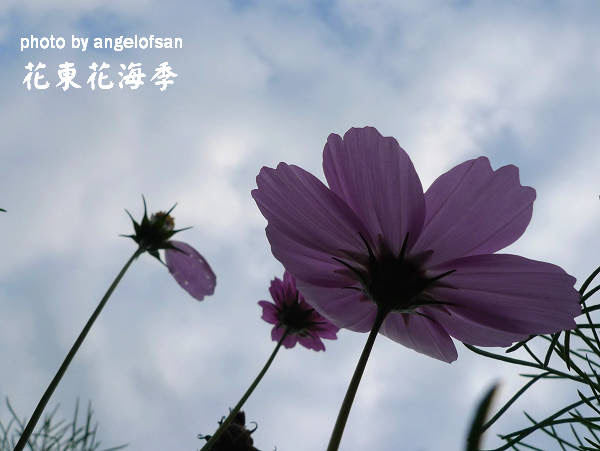 P1090446.JPG