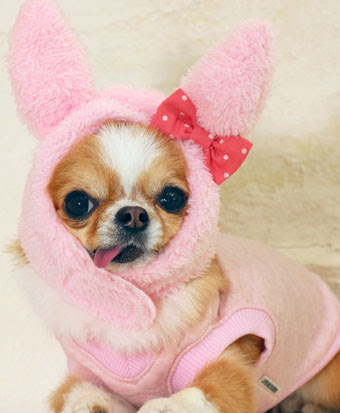犬の帽子 うさちゃんハット ピンク 犬と生活