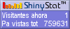 Medidor de visitantes