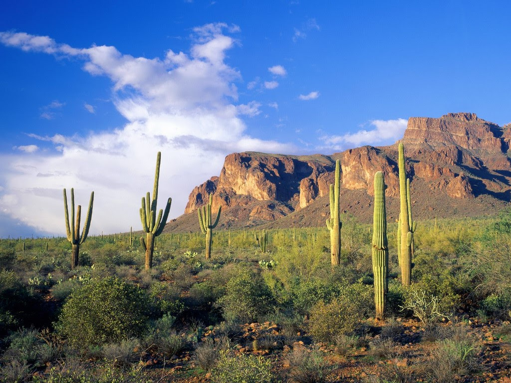 superstition mountains re-creation