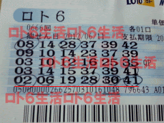 ロト６ 当せん券拝見コーナー