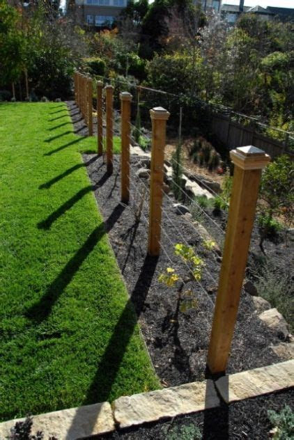 simple strained wire fence supports planted