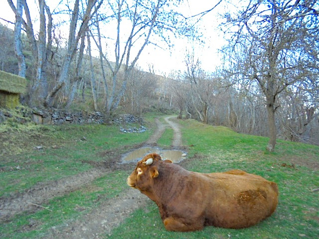 CAMINO DE LA HERRADURA