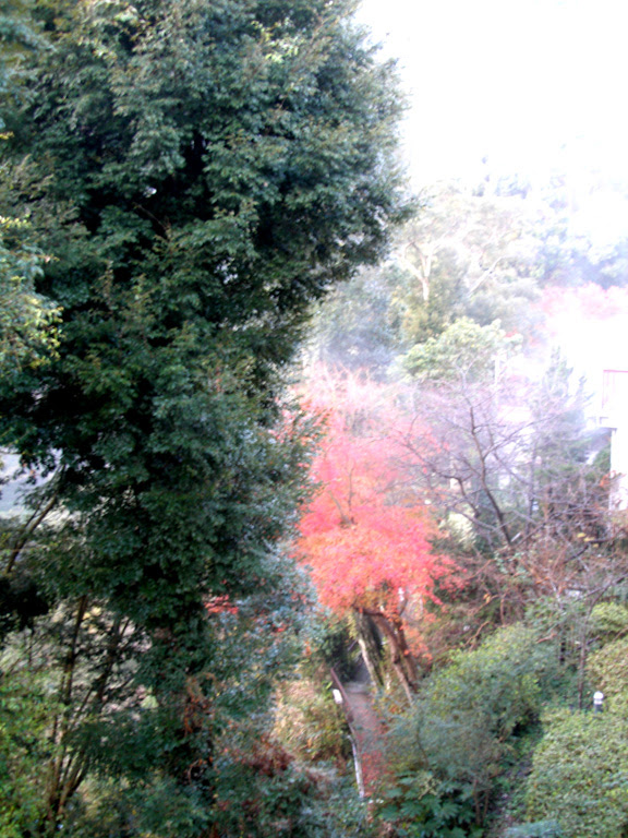 photo39-7.jpg