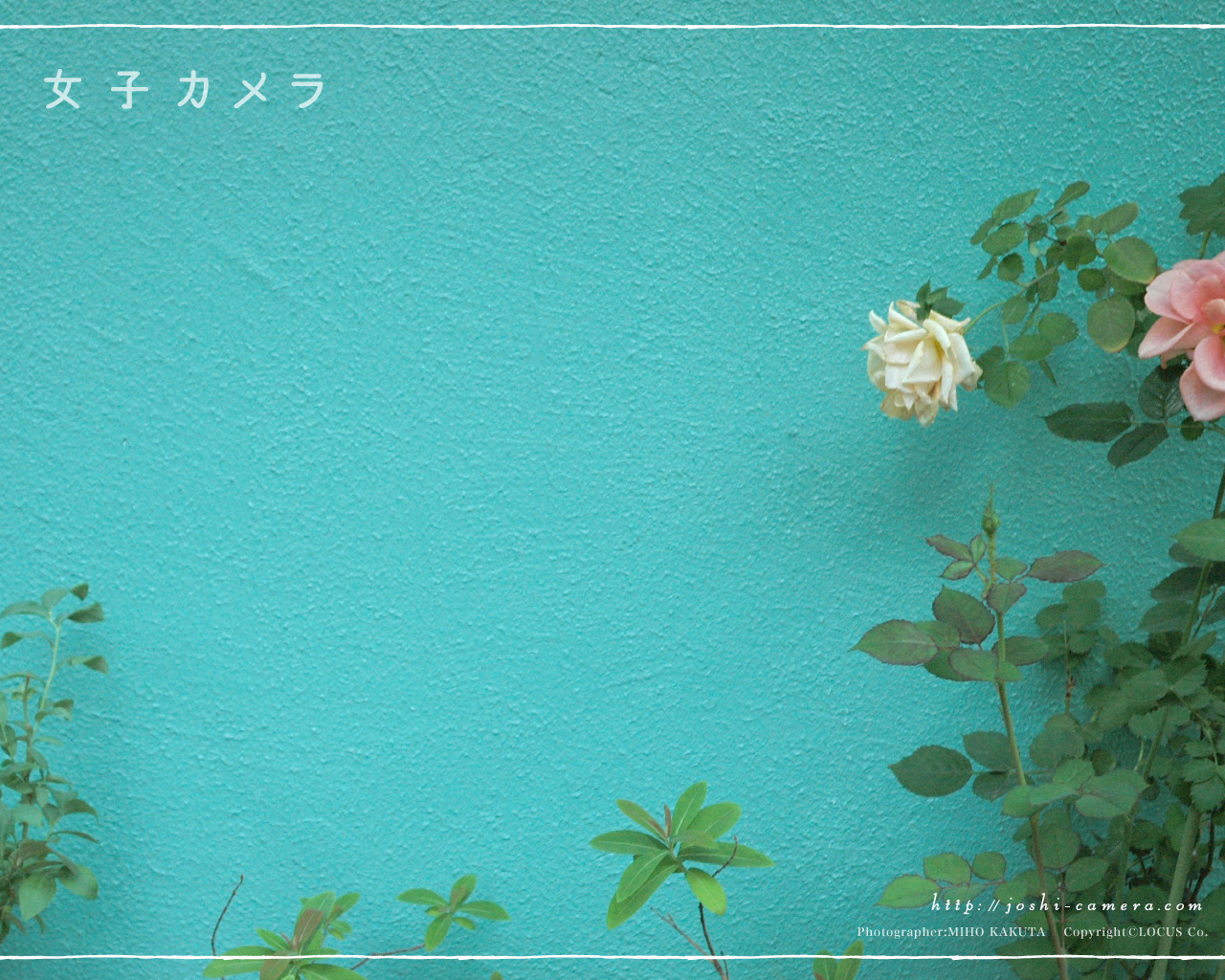 おしゃれの画像 原寸画像検索