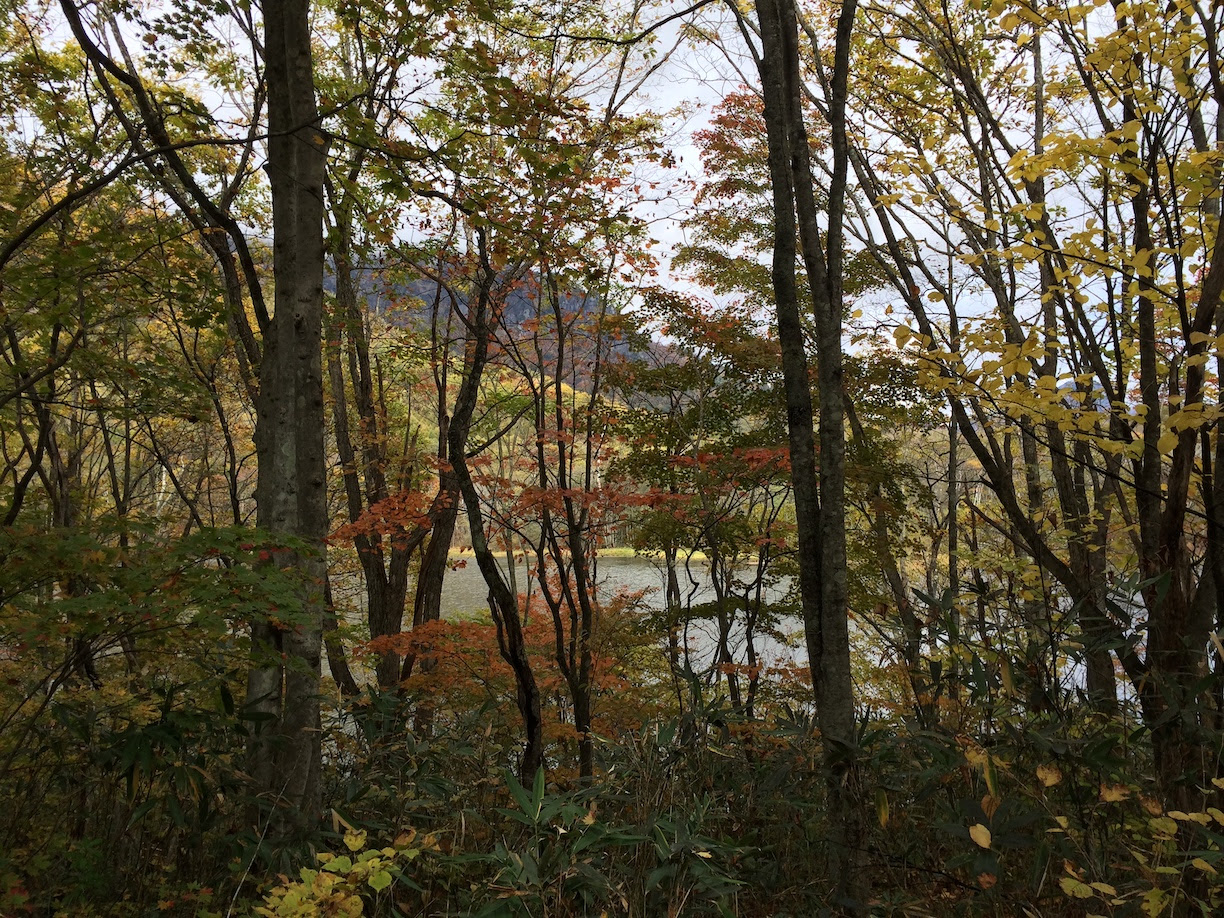 photo82-5.jpg