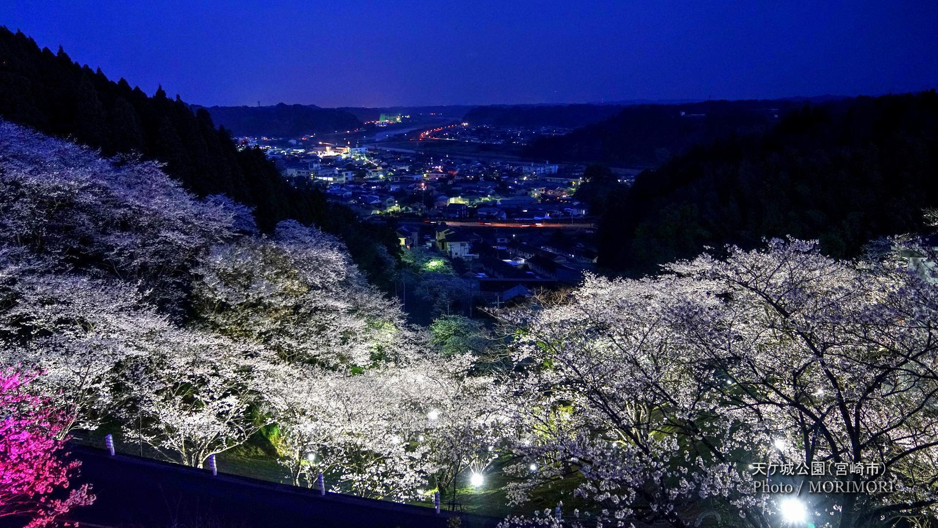 天ヶ城 あまがじょう の夜桜 Ledライトアップ 宮崎県宮崎市高岡町