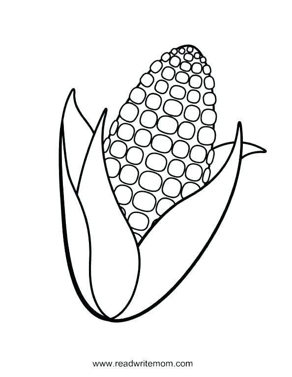Corn Stalk Coloring Page at GetColorings.com | Free ...