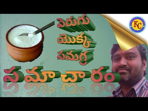 చిత్రం