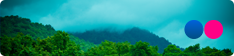 Flickr.img