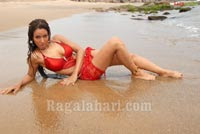 Paakhi Hegde Photo Gallery