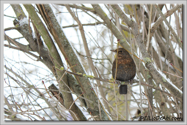 15 IMG_5190 2