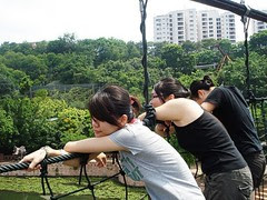 30662_1417421109206_1042965675_1200876_5420536_n