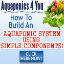 Santa Cruz Aquaponics : Your Plants Develop Abundantly