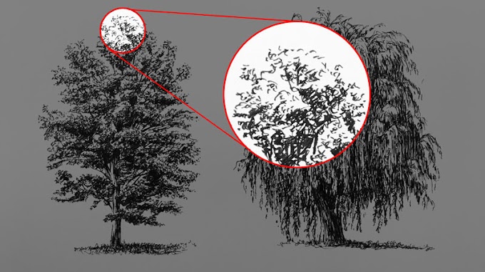 Draw Tree With Pen - How To Draw Trees Youtube : We'll take a look at drawing two different types of trees and explore the 3 key elements to.
