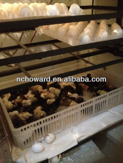  egg incubator from 24 eggs to 22528 eggs. All the automatic egg