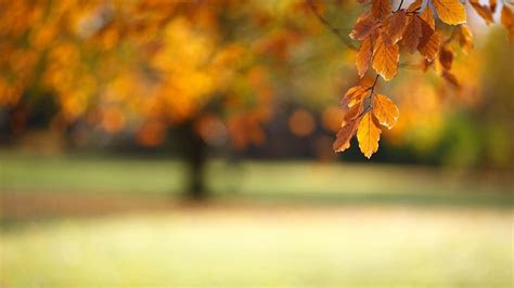 nl blurred wallpaper awesome blurred hd wallpapers hd