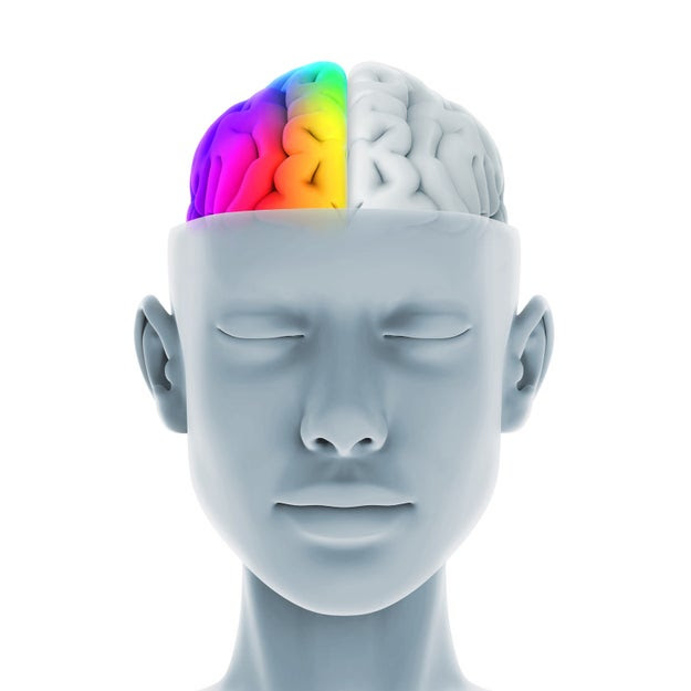 It turns out that pretty much everyone is susceptible to believing "neuromyths", aka myths about our brains and how they work.