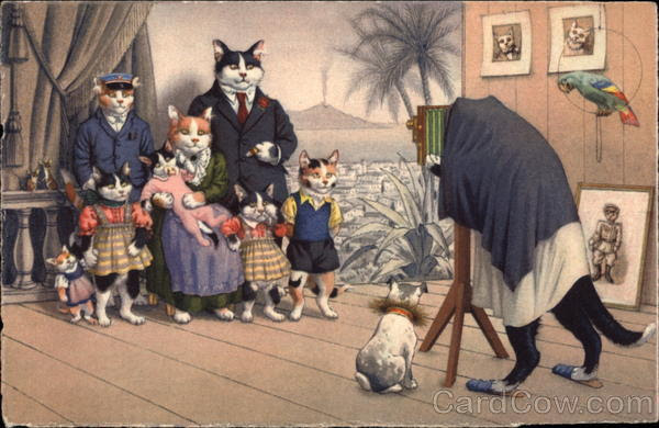 Cat Family Photograph Vintage Post Card