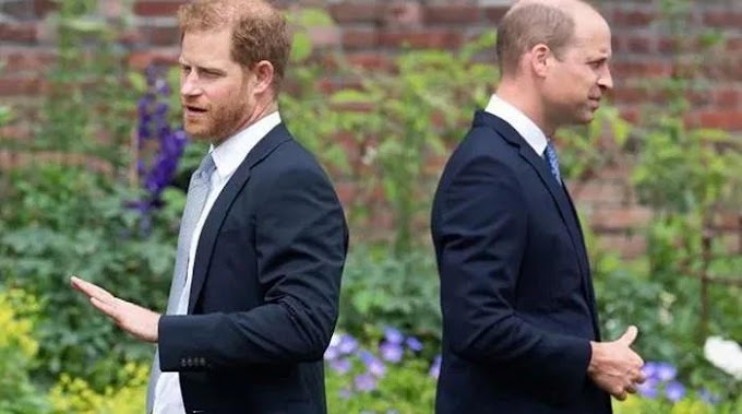 Prince William 'finds new brother' amid Prince Harry feud